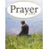 Prayer-Journal