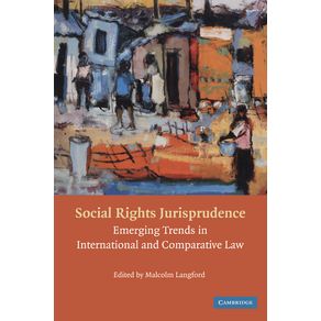 Social-Rights-Jurisprudence