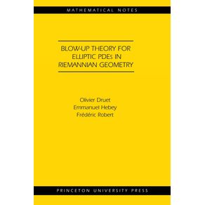 Blow-up-Theory-for-Elliptic-PDEs-in-Riemannian-Geometry--MN-45-