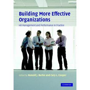 Building-More-Effective-Organizations