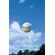 Why-Golf-