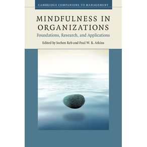 Mindfulness-in-Organizations