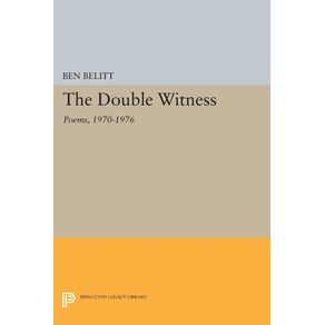 The-Double-Witness