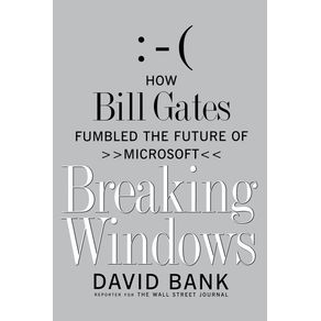Breaking-Windows
