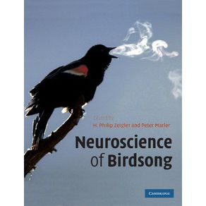 Neuroscience-of-Birdsong