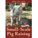 Small-Scale-Pig-Raising