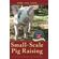 Small-Scale-Pig-Raising