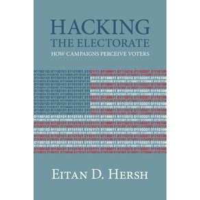 Hacking-the-Electorate