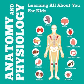 Anatomy-And-Physiology