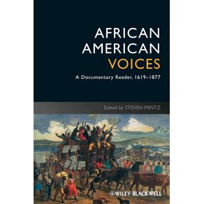 African-American-Voices-4e
