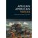 African-American-Voices-4e