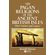 Pagan-Religions-Ancient-British