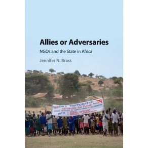 Allies-or-Adversaries