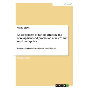 An-assessment-of-factors-affecting-the-development-and-promotion-of-micro-and-small-enterprises