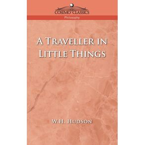 A-Traveller-in-Little-Things