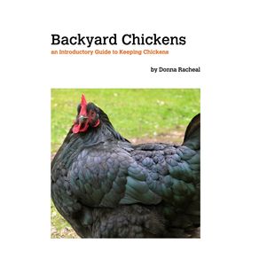 Backyard-Chickens