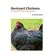 Backyard-Chickens