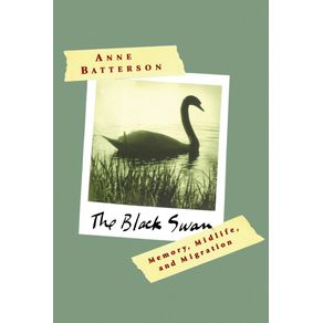 The-Black-Swan
