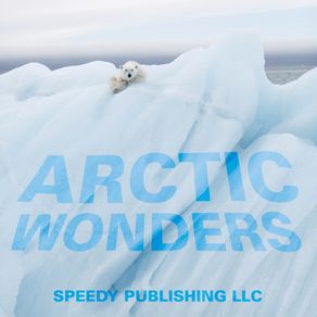 Arctic-Wonders