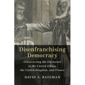 Disenfranchising-Democracy