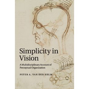 Simplicity-in-Vision