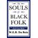 The-Souls-of-Black-Folk--an-African-American-Heritage-Book-