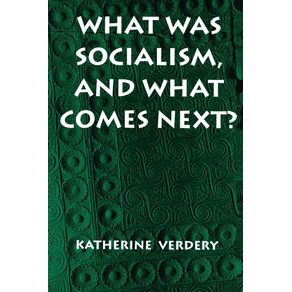 What-Was-Socialism-and-What-Comes-Next-