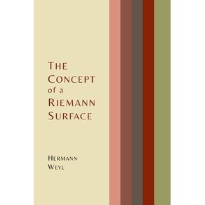 The-Concept-of-a-Riemann-Surface