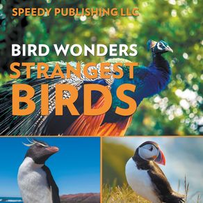 Bird-Wonders---Strangest-Birds
