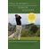 Paul-Runyans-Book-for-Senior-Golfers