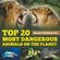Top-20-Most-Dangerous-Animals-On-The-Planet