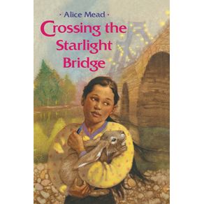 Crossing-the-Starlight-Bridge