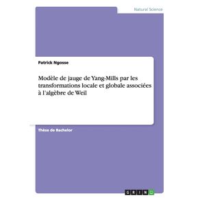 Modele-de-jauge-de-Yang-Mills-par-les-transformations-locale-et-globale-associees-a-lalgebre-de-Weil
