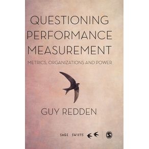 Questioning-Performance-Measurement