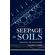 Seepage-in-Soils