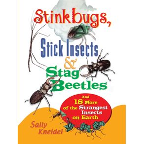 Stink-Bugs-Stick-Insects-and-Stag-Beetles