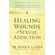 Healing-the-Wounds-of-Sexual-Addiction