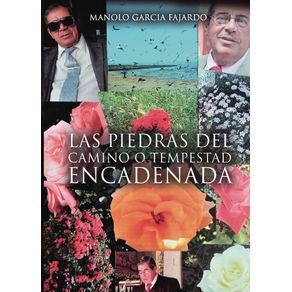 Las-piedras-del-camino-o-tempestad-encadenada