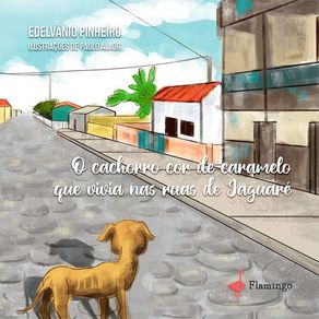 O-cachorro-cor-de-caramelo-que-vivia-nas-ruas-de-Jaguare