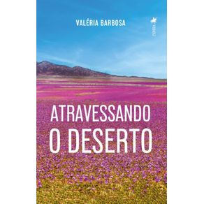 Atravessando-o-Deserto