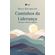 Caminhos-da-Lideranca--Lideranca-Alem-dos-Numeros