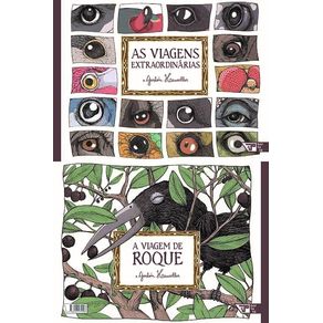 As-viagens-extraordinarias/A-viagem-de-Roque