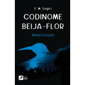 Codinome:-Beija-flor---Noite-escura