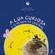 A-Lua-Curiosa-e-o-Planalto-Central