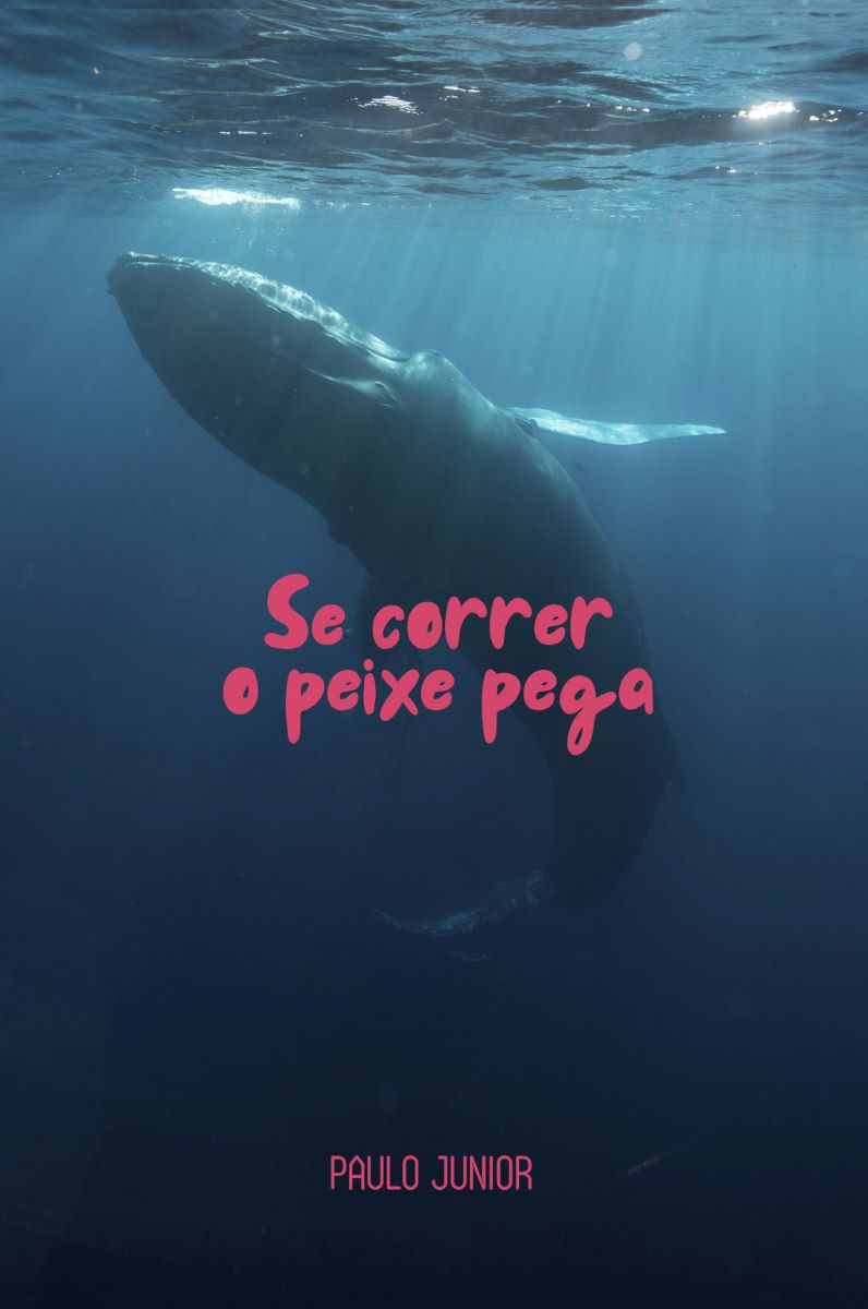 Capa do livro Se correr o peixe pega