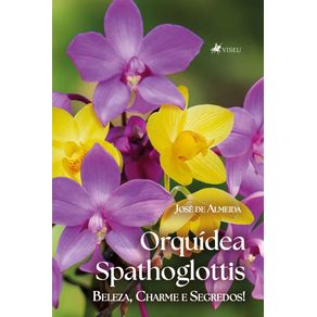Orquidea-Spathoglottis--Beleza-Charme-e-Segredos-