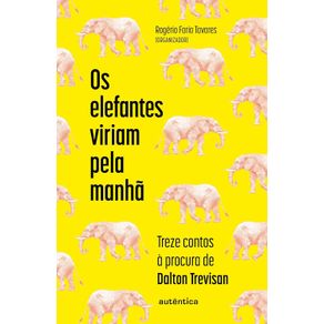 Os-elefantes-viriam-pela-manha--1606-