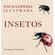 Enciclopedia-Ilustrada--Insetos