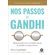 Nos-passos-de-Gandhi-3006-