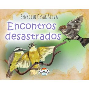 Encontros-Desastrados